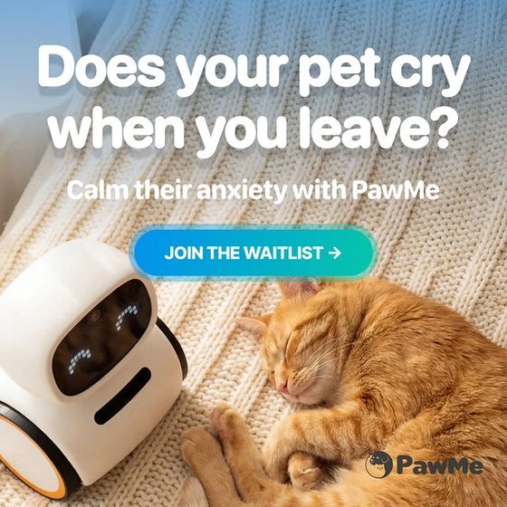 Pawme ad